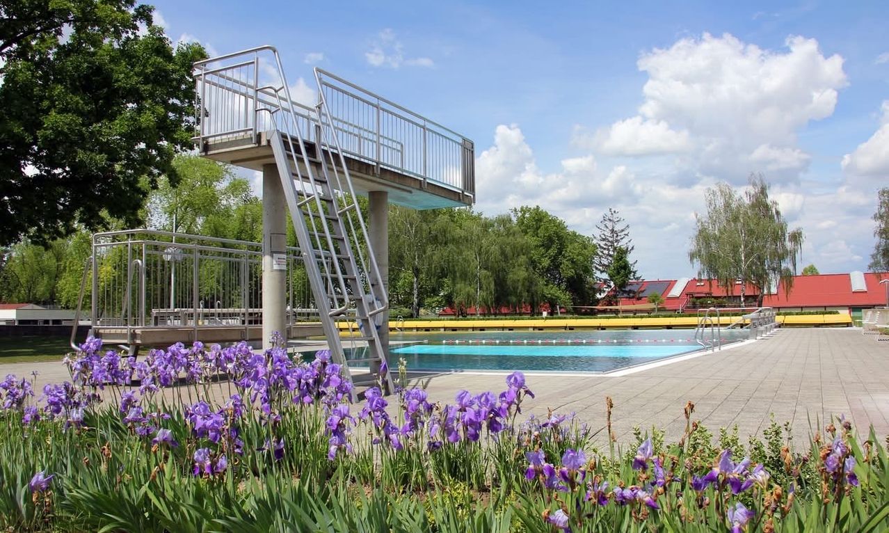Ein Schwimmbad mit Sprungbrett, umgeben von Bäumen und Blumen, unter einem blauen Himmel mit einigen Wolken.