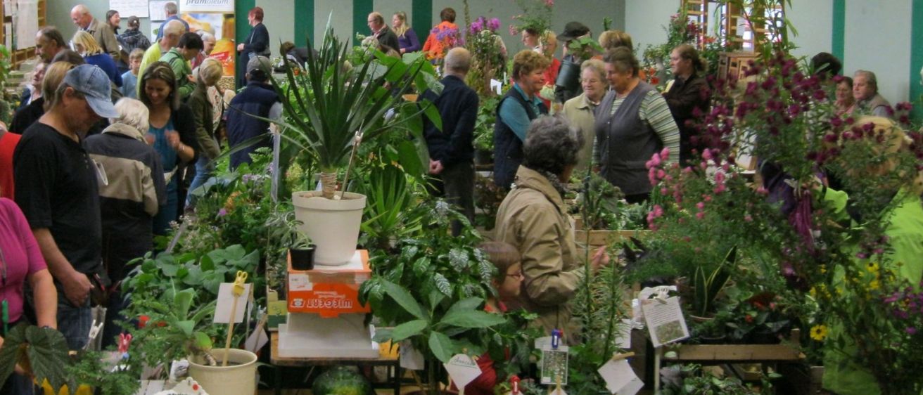 Bild enthält, Market, Person, Adult, Male, Man, Handbag, Female, Woman, Hat, Box