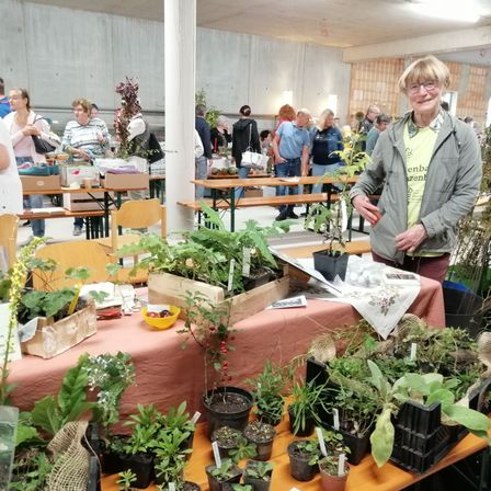 Bild enthält, Plant, Potted Plant, Herbal, Garden, Person, Gardening, Adult, Male, Man, Market