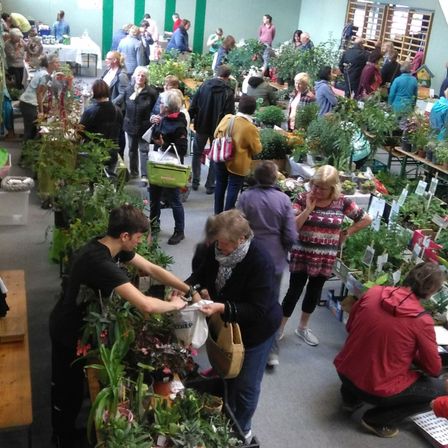 Bild enthält, Potted Plant, Adult, Female, Person, Woman, Garden, Shoe, Male, Man, Gardening