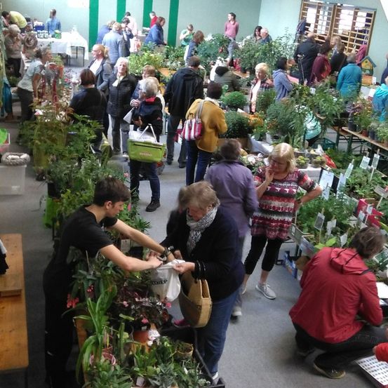 Bild enthält, Potted Plant, Adult, Female, Person, Woman, Garden, Shoe, Male, Man, Gardening
