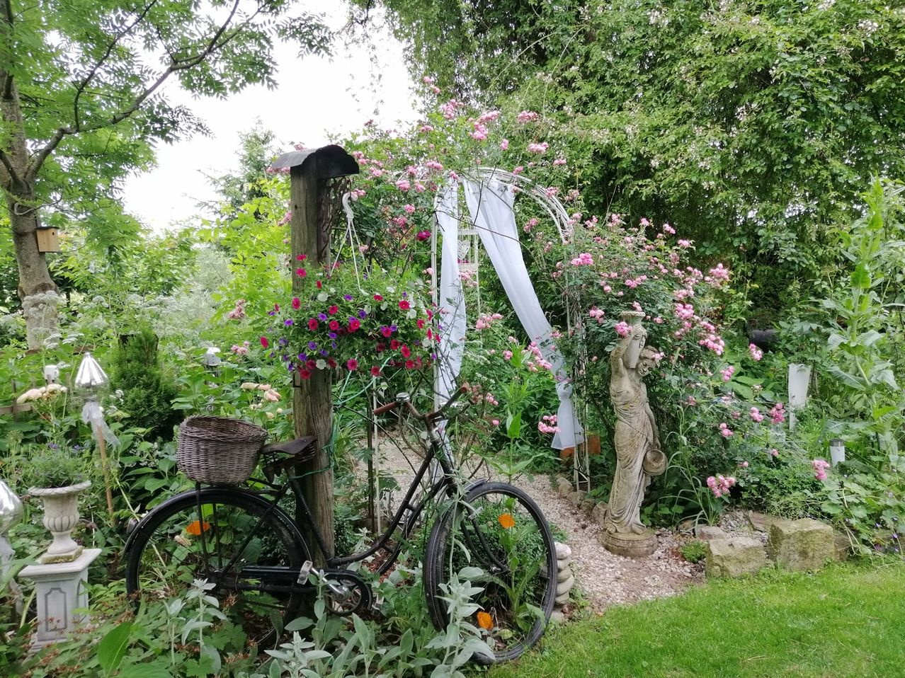 Bild enthält, Herbal, Potted Plant, Planter, Garden, Outdoors, Backyard, Yard, Vegetation, Grass, Bicycle
