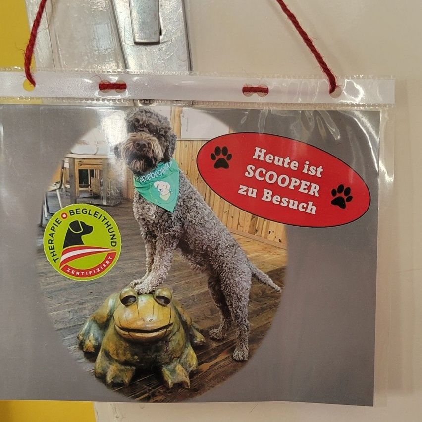 Ein Poster zeigt einen Hund auf einem Frosch mit einem grünen Bandana. Das Poster befindet sich in einem Plastikbeutel mit dem Text 'Heute ist SCOOPER zu Besuch' und Pfotenabdrücken.