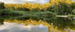 Ein ruhiger See, umgeben von goldgelben Bäumen, spiegelt den Himmel und die Wolken wider. Die Reflexionen der Bäume tanzen auf dem ruhigen Wasser.