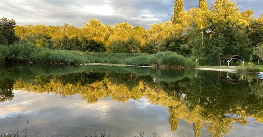 Ein ruhiger See, umgeben von goldgelben Bäumen, spiegelt den Himmel und die Wolken wider. Die Reflexionen der Bäume tanzen auf dem ruhigen Wasser.