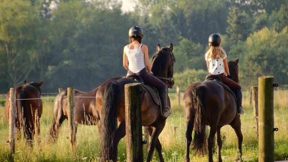 v1_migrated_image_97013927