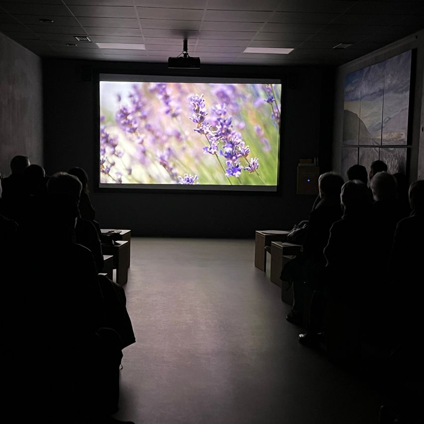 Ein schwach beleuchteter Raum mit einer großen Leinwand, die Lavendelblumen zeigt. Ein Publikum sitzt davor und konzentriert sich auf die Projektion. Der Raum hat ein minimalistisches Design.