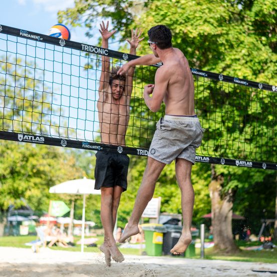 Bild enthält, Shorts, Back, Person, Volleyball (Ball), People, Adult, Male, Man, Playing Volleyball, Glasses