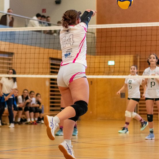 Bild enthält, Sphere, People, Person, Floor, Flooring, Shorts, Shoe, Volleyball (Ball), Hardwood, Wood
