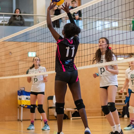 Bild enthält, Sphere, People, Person, Shorts, Floor, Flooring, Adult, Female, Woman, Volleyball (Ball)