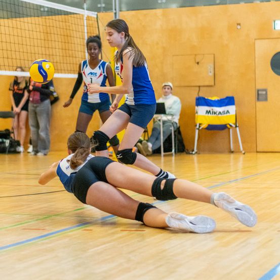 Bild enthält, Sphere, People, Person, Floor, Flooring, Shorts, Wood, Hardwood, Volleyball (Ball), Man