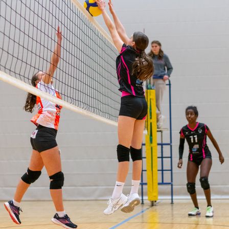 Bild enthält, People, Person, Shorts, Shoe, Sphere, Volleyball (Ball), Adult, Female, Woman, Playing Volleyball
