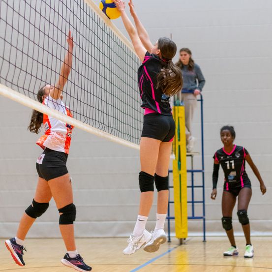 Bild enthält, People, Person, Shorts, Shoe, Sphere, Volleyball (Ball), Adult, Female, Woman, Playing Volleyball