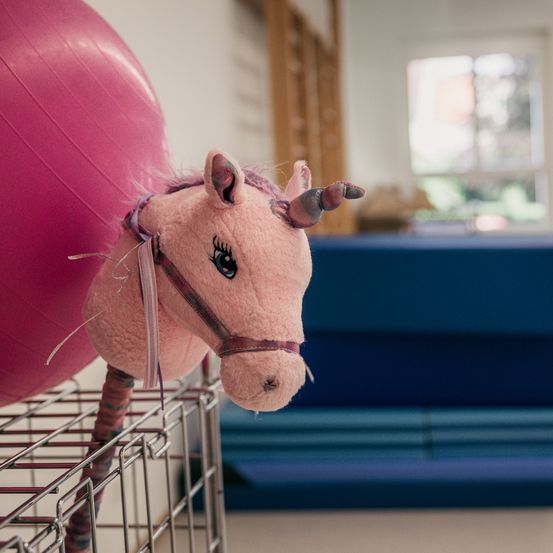 Ein rosa Plüschpferd mit Horn und Mähne ruht auf einem rosa Gymnastikball in einem Raum. Dahinter ist eine blaue Oberfläche mit einem Fenster im Hintergrund zu sehen.