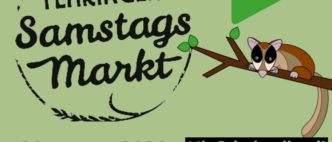 Plakat für den Fehringer Samstagsmarkt am 29. August 2026 mit einem Eichhörnchen auf einem Ast und den Veranstaltungsdetails.