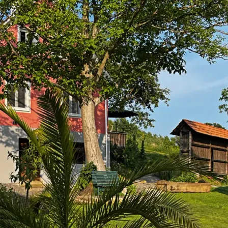 Ein rotes Haus mit weißen Fenstern befindet sich in einem üppigen grünen Garten mit einem Baum. Ein kleines Holzhaus steht in der Nähe, und eine grüne Bank befindet sich unter dem Baum.