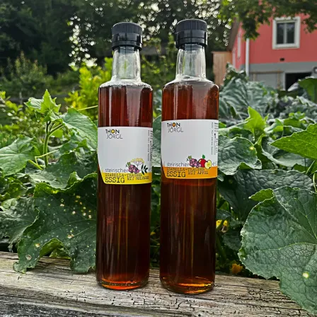 Zwei Flaschen mit dunkler Flüssigkeit, beschriftet mit 'Steirischer Essig', stehen auf einer hölzernen Oberfläche, umgeben von großen grünen Blättern. Im Hintergrund ist ein rotes Gebäude zu sehen.