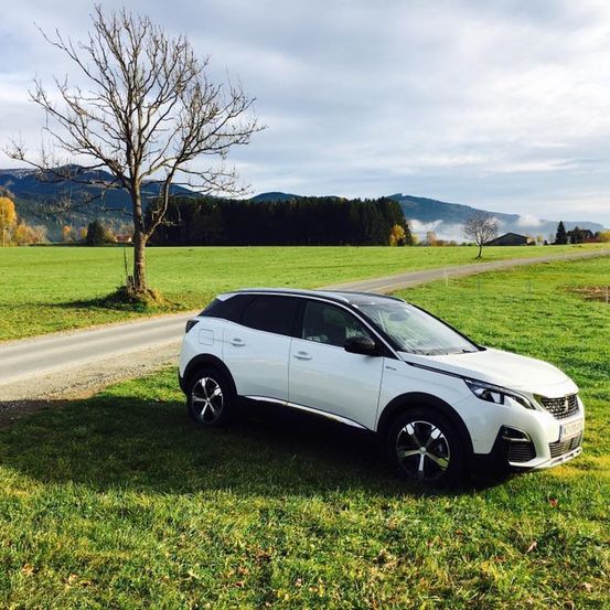 Ein weißer SUV ist auf einer Grasfläche geparkt, mit einer Straße und Bergen im Hintergrund.