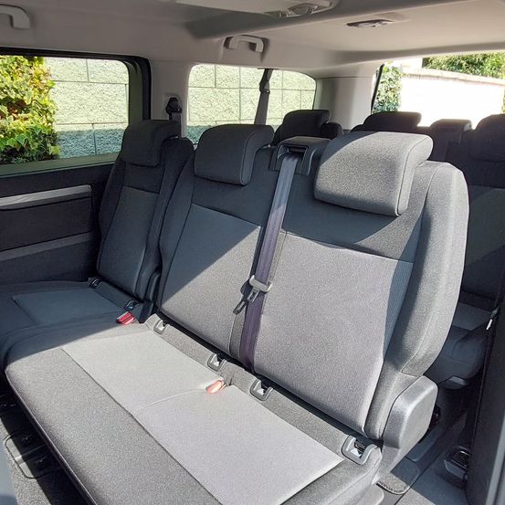 Das Innere eines Minivans zeigt vier graue Sitze mit Sicherheitsgurten und Kopfstützen. Fenster zeigen eine Ziegelmauer und Grünpflanzen draußen.