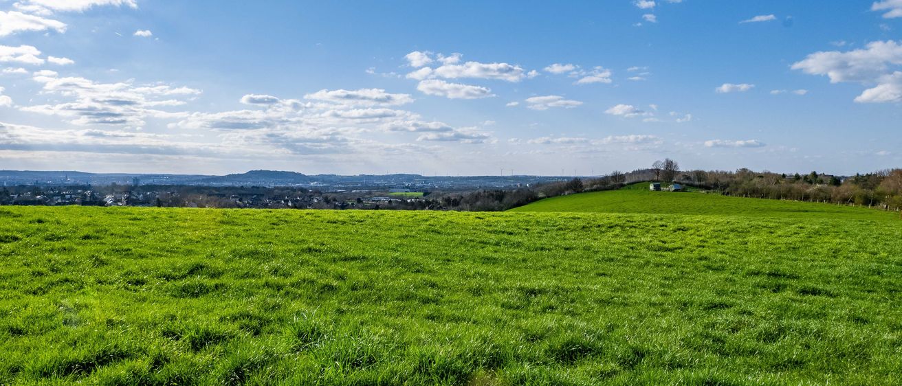 Bild enthält, Nature, Outdoors, Sky, Countryside, Field, Pasture, Horizon, Grassland, Ground, Grass