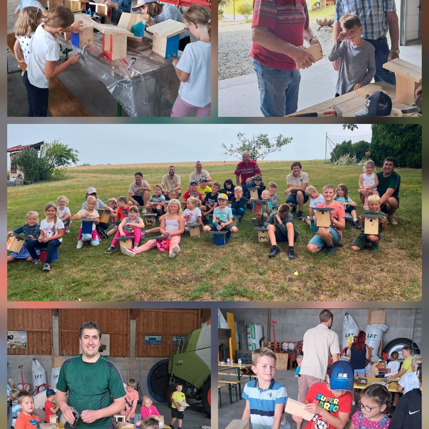 Eine Collage von Bildern, die Kinder und Erwachsene beim Arbeiten an holzernen Vogelhäusern, auf Gras sitzend und in einer Werkstatt stehend zeigt.