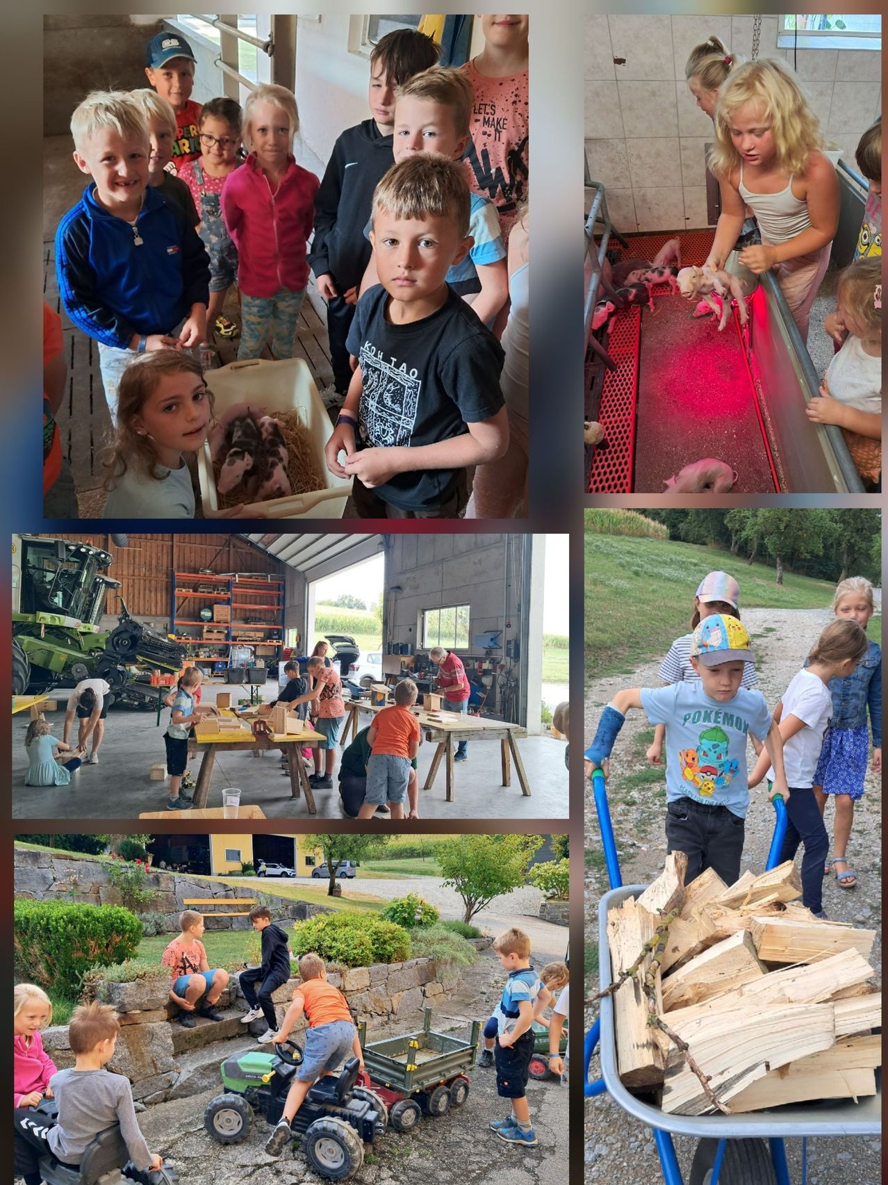 Eine Collage von Kindern, die verschiedene Aktivitäten ausführen: Ein Mädchen hält einen Korb mit Ferkeln, ein Junge mit einer Kiste voller Ferkel, ein Mädchen hält ein Babyschwein, Kinder arbeiten an einem Holztisch und ein Junge schiebt einen Schubkarren mit Holz.