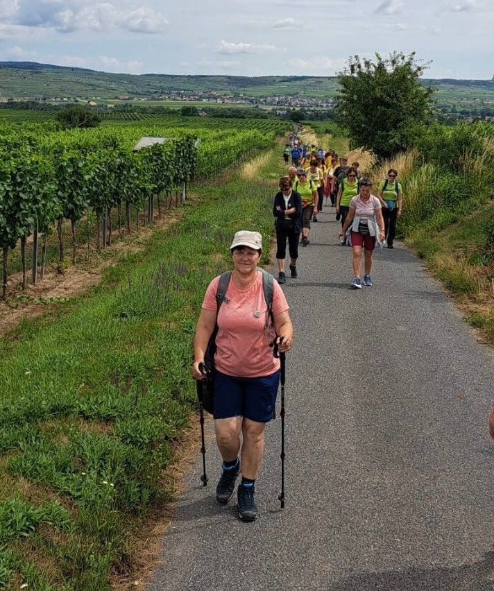 Eine Gruppe von Menschen wandert auf einem gepflasterten Weg, umgeben von Weinbergen und grünem Gras, mit einer entfernten Stadt und Bergen im Hintergrund.