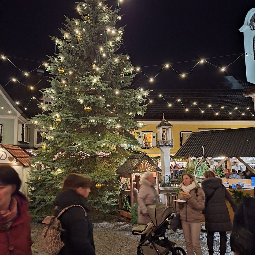 Ein Weihnachtsbaum steht nachts auf einem Platz in der Stadt, beleuchtet von Lichtern. Menschen gehen herum, einige mit Kindern. Eine Frau füttert ein Baby. Ein Uhrturm ist im Hintergrund zu sehen.