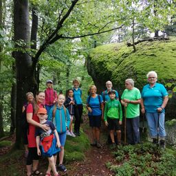 Bild enthält, Vegetation, Grass, Land, Park, Tree, Woodland, Grove, Hiking, Jungle, Portrait