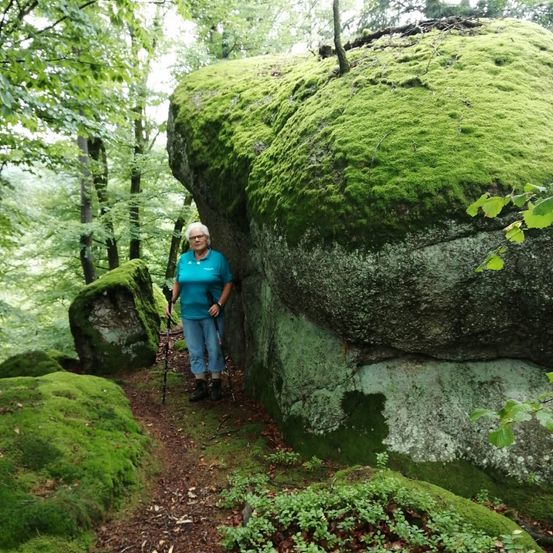 Bild enthält, Green, Moss, Vegetation, Jungle, Path, Rock, Woodland, Rainforest, Grove, Wilderness
