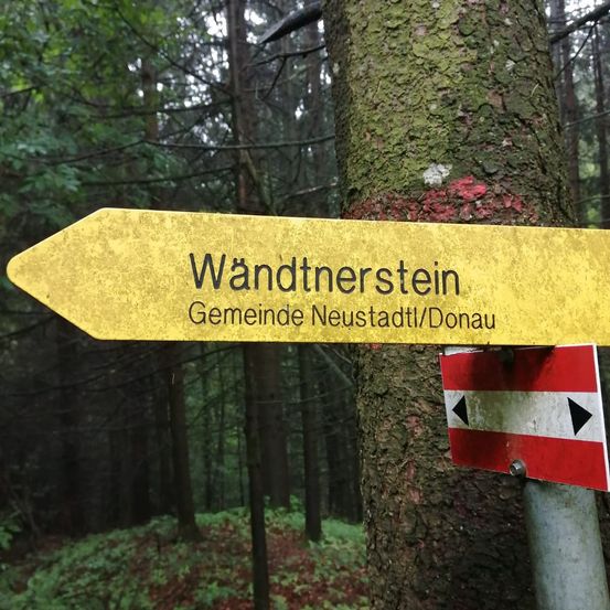 Bild enthält, Vegetation, Tree, Land, Outdoors, Woodland, Sign, Symbol, Rainforest, Jungle, Road Sign