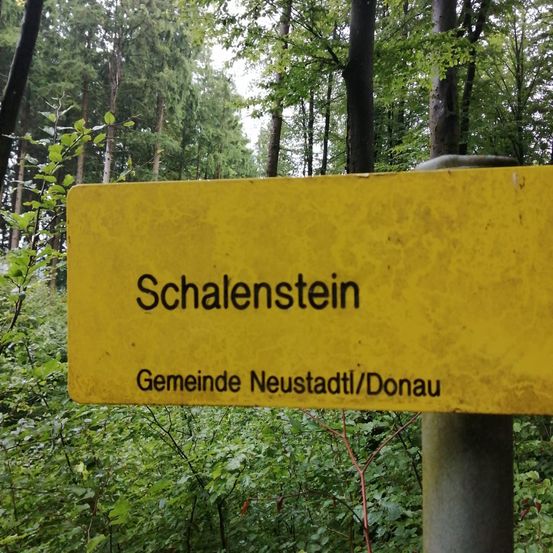 Bild enthält, Vegetation, Land, Tree, Woodland, Grove, Rainforest, Jungle, Path, Trail, Sign