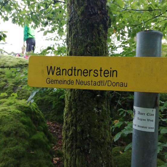 Bild enthält, Tree, Tree Trunk, Vegetation, Moss, Path, Land, Rainforest, Woodland, Green, Oak