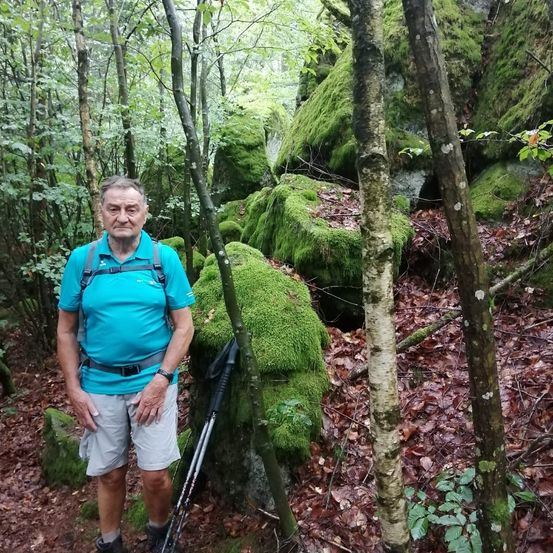 Bild enthält, Vegetation, Land, Moss, Rainforest, Wilderness, Hiking, Jungle, Woodland, Path, Trail