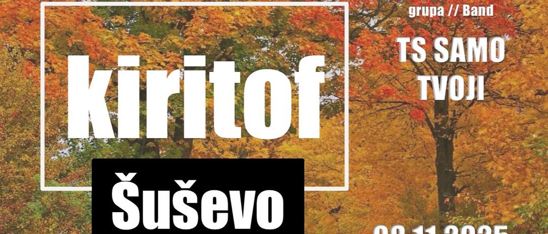 Plakat mit einer malerischen Herbstlandschaft. Das Plakat enthält Text sowohl in Englisch als auch in Deutsch, zusammen mit einem Datum. Der Text lautet 'TS Sa KiritoF' und 'Susevo'. Das Datum ist 08.11.20.