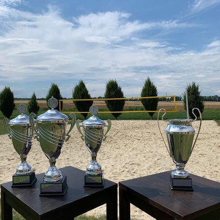 Bild enthält, Trophy