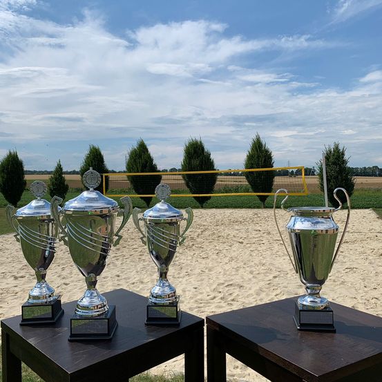 Bild enthält, Trophy