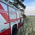Ein roter und weißer Feuerwehrwagen steht am Rande eines Weizenfeldes mit einem Baum im Hintergrund.
