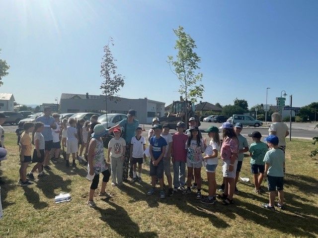 Eine Gruppe von Kindern und Erwachsenen steht in einer Reihe auf einem Rasen, möglicherweise für eine Baumpflanzveranstaltung. Hinter ihnen sind Autos geparkt, und ein Baufahrzeug steht auf der Straße.