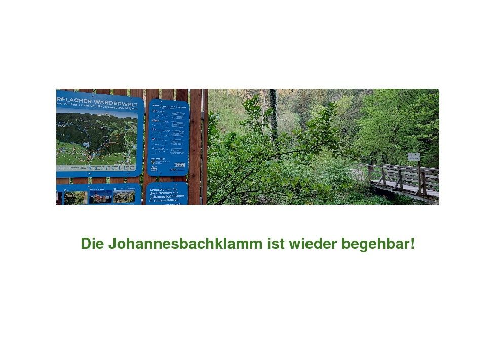Ein blaues Schild mit einer Karte des Gebiets ist an einem Holzpfosten befestigt. Eine Holzbrücke befindet sich im Wald, und ein Holzpfosten steht neben ihr. Der Text auf dem Schild ist in Deutsch.