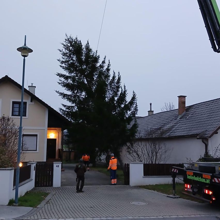 Zwei Personen in orange Sicherheitswesten gehen auf einen Baum zu. Links steht eine Straßenlaterne und rechts ein Haus mit Schornstein. Vor dem Haus ist ein Lastwagen geparkt.
