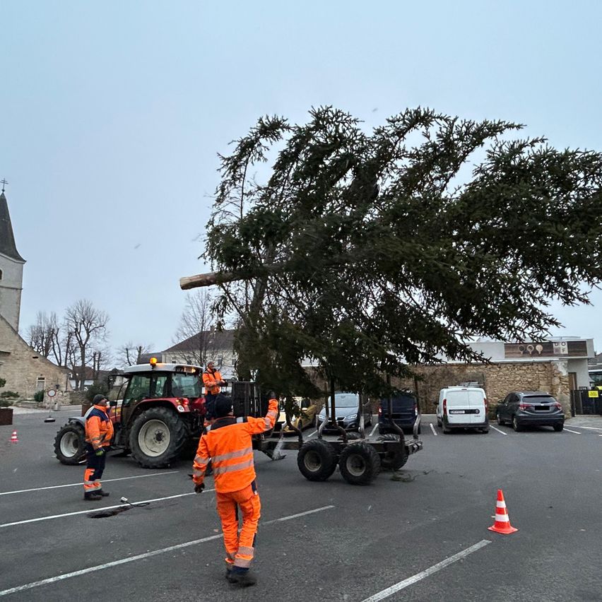 Ein Team von Arbeitern in orangefarbenen Uniformen entfernt einen großen Baum mit einem Traktor auf einem Parkplatz. In der Nähe befinden sich ein weißer Lieferwagen, ein schwarzes Auto und ein orangefarbener Verkehrskegel.