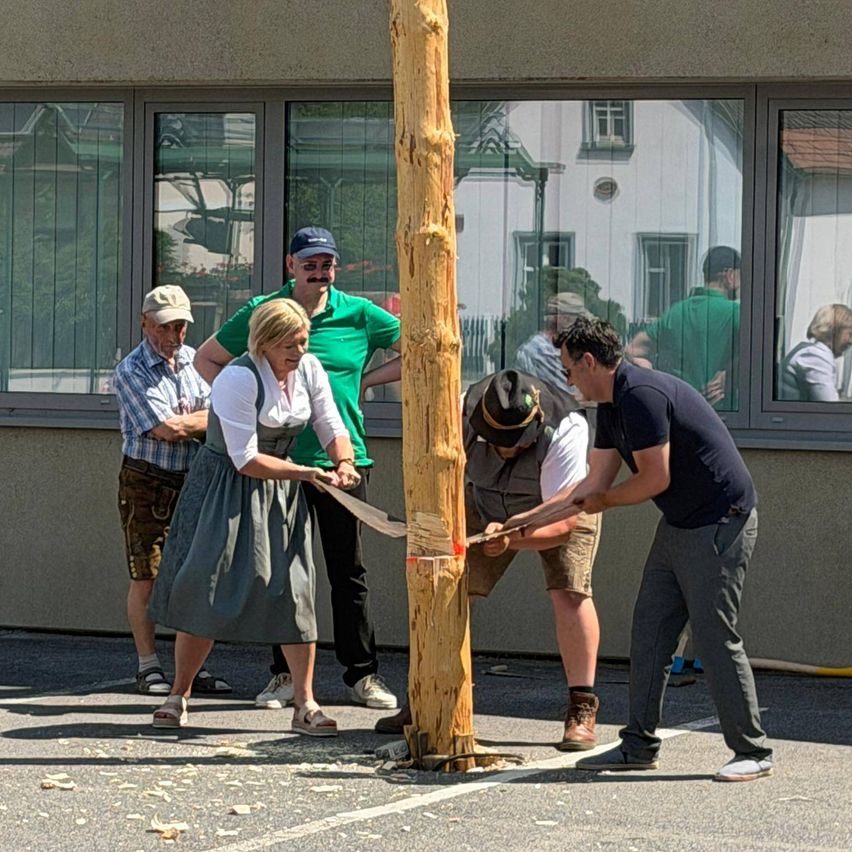 Five people are outside; a woman cuts a log with a saw. Two men help her. Behind them are three more people, including a man in a green shirt. Buildings and people are visible through a window.
