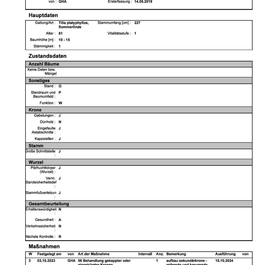 Ein Dokument mit Details über eine Baumart, einschließlich Gattung, Alter, Höhe und andere Attribute. Der Baum hat keine Mängel, keine Schäden und ist insgesamt gesund. Die nächste Kontrolle ist für den 15. Oktober 2024 geplant.