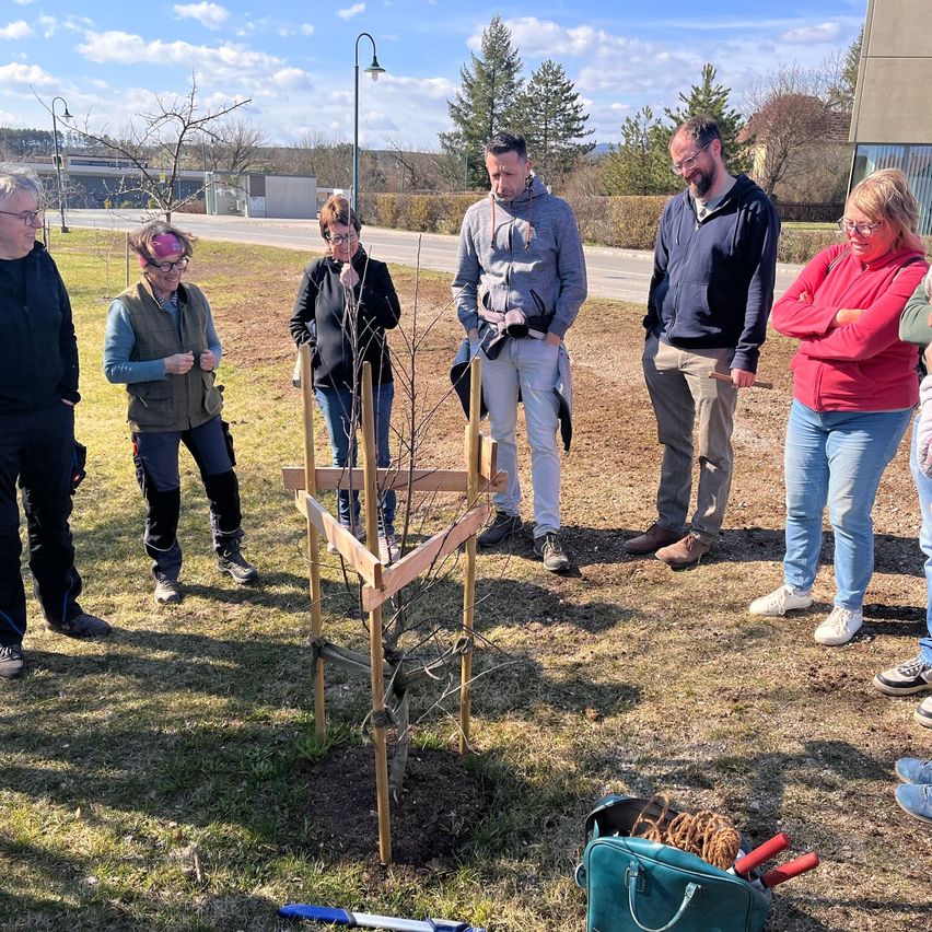 Eine Gruppe von Menschen in Freizeitkleidung versammelt sich um einen frisch gepflanzten Baum. Eine Frau trägt eine Brille und eine rosa Kopfband.