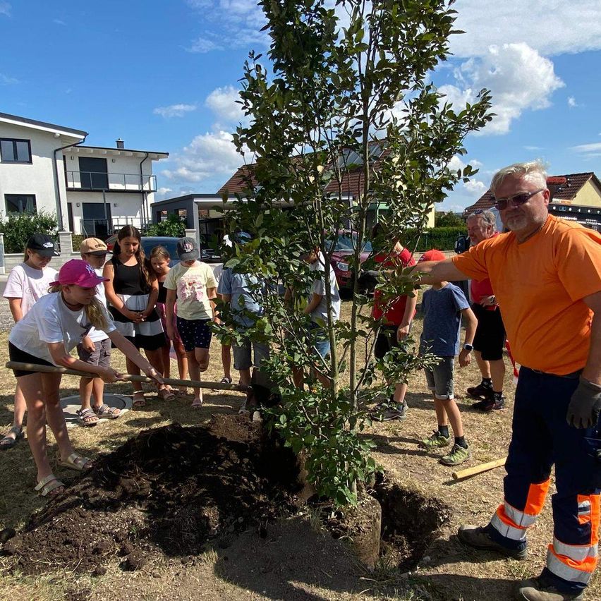 A group of people plant a tree outside, a woman holds a shovel, and a man holds the tree. The scene is sunny.
