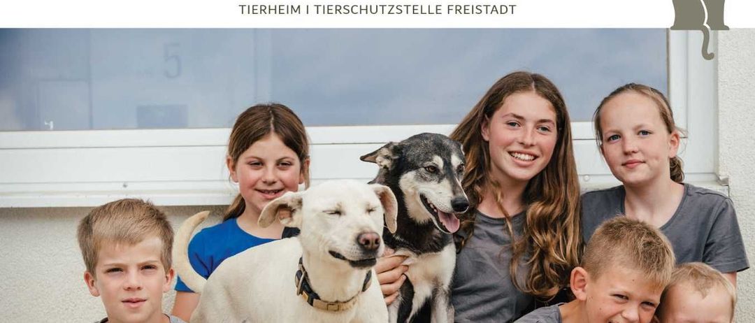 v1_migrated_image_82697094