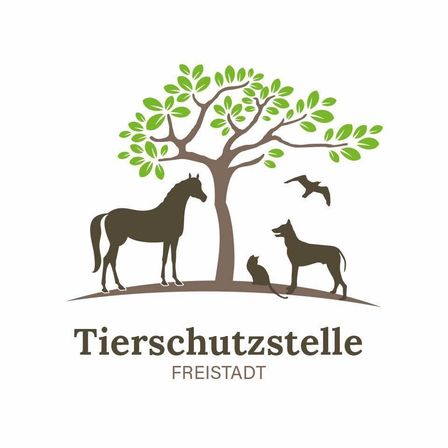 v1_migrated_image_8273186