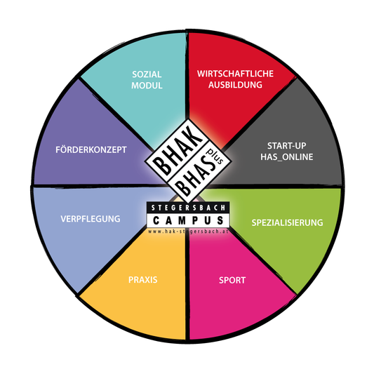 Bild enthält, Disk, Chart, Pie Chart