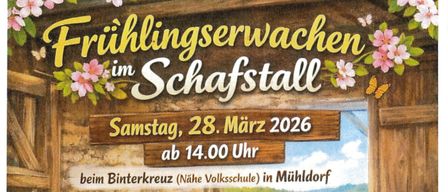 Plakat für eine Schafschur-Veranstaltung am 28. März 2026. Ein Mann schert ein Schaf, während drei Schafe zusehen. Details umfassen Veranstaltungszeit, Ort und Aktivitäten.